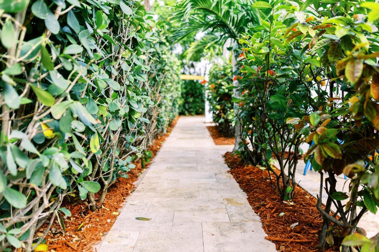 Apartmán Casa Cordova Fort Lauderdale Exteriér fotografie